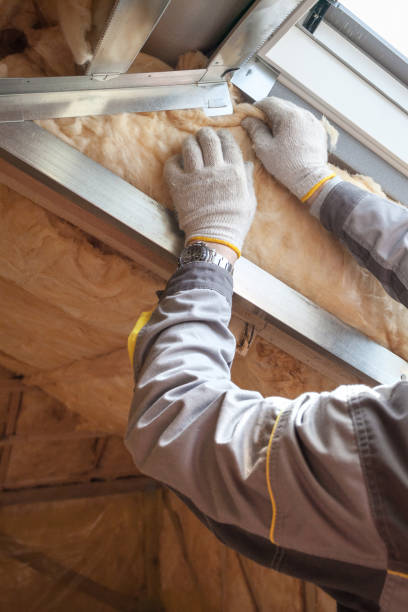 Best Eco-Friendly Insulation in Rock Port, MO